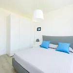 Palms *