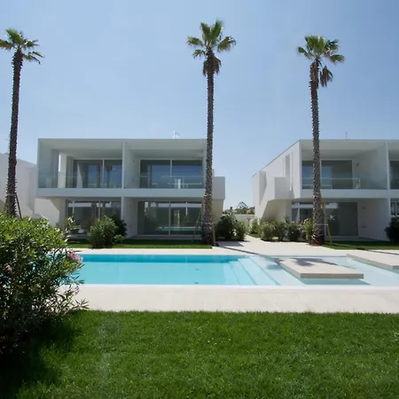 Palms